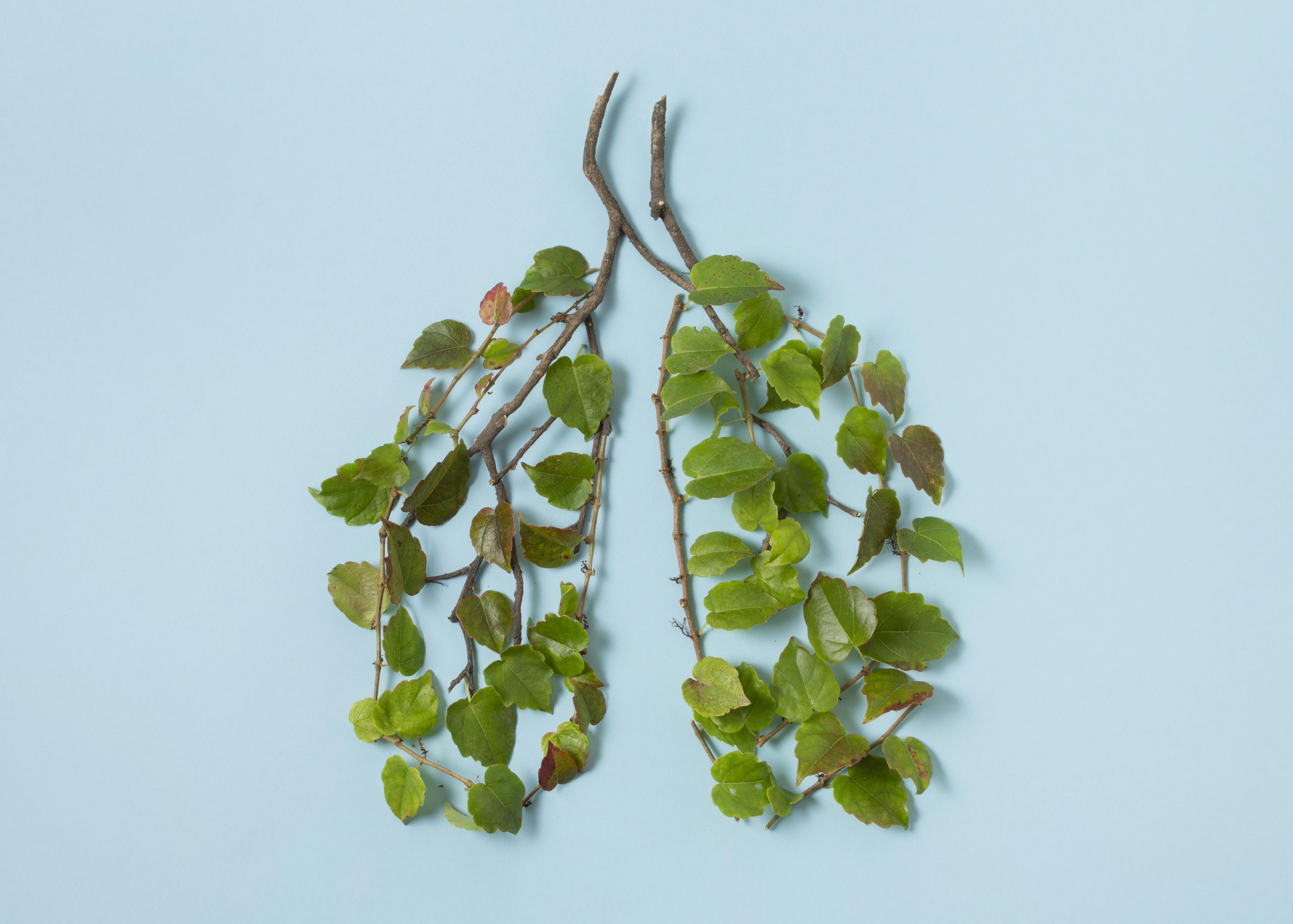 Reflexologie plantaire