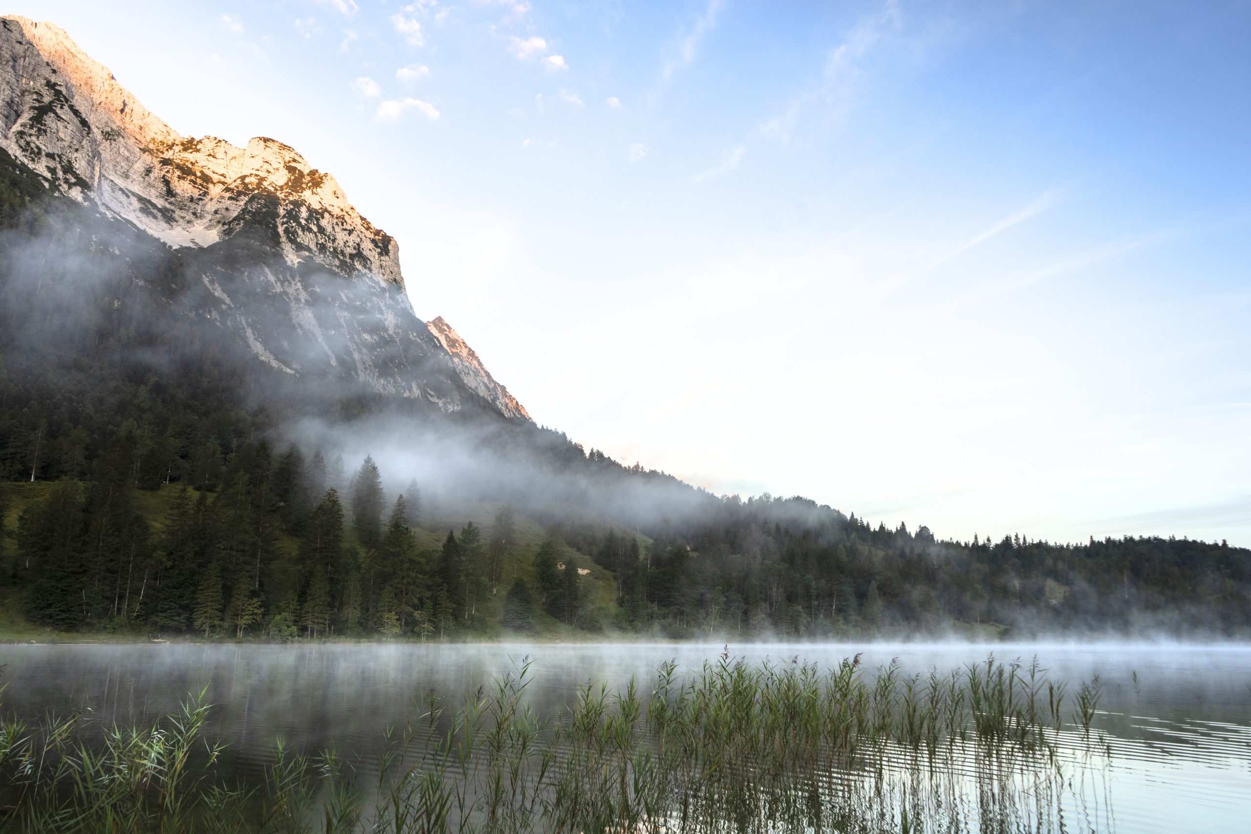 réflexologie plantaire calcul rénaux